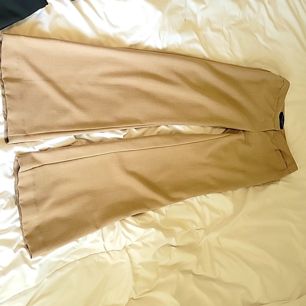 Dress pants